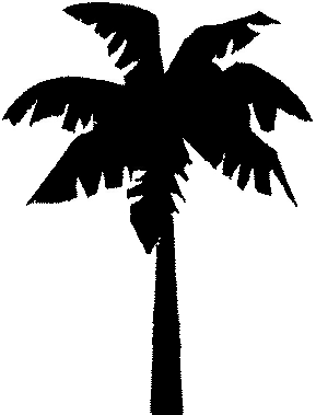 Palm Apartments